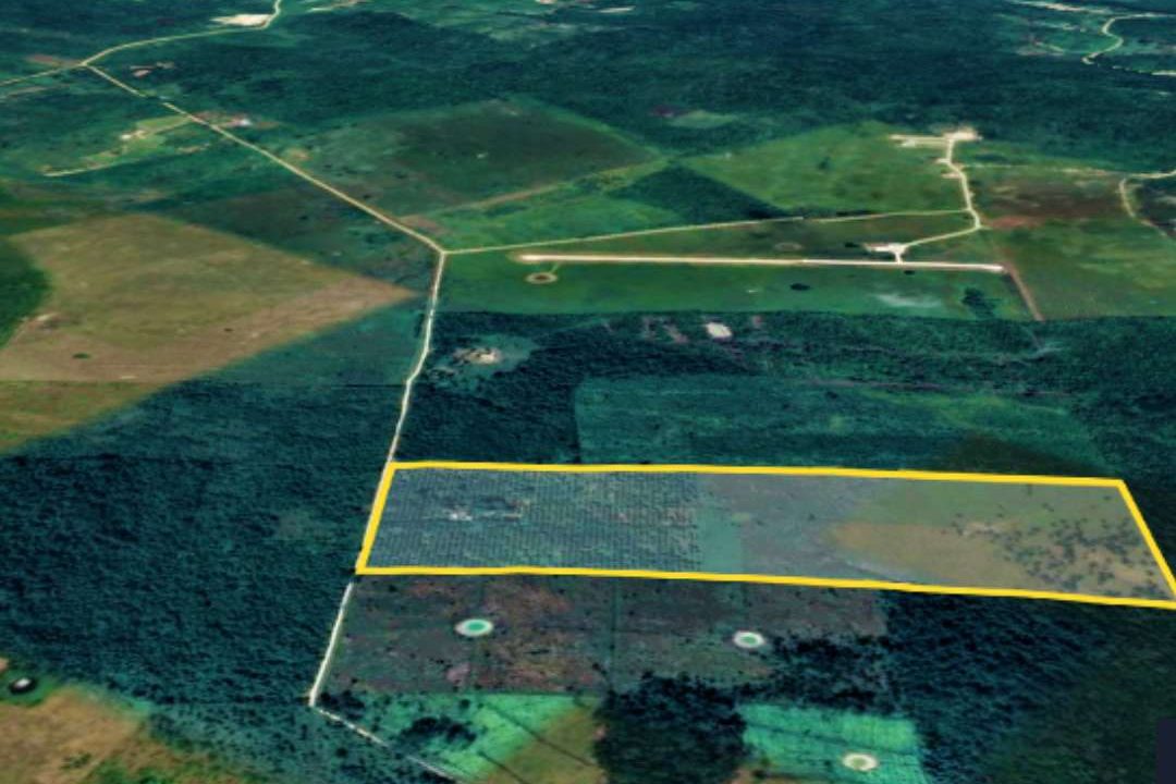 75 Acres- New Holland (6)