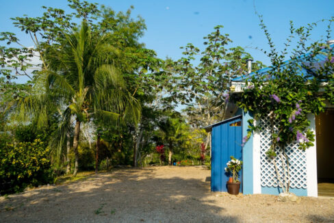 Bullet-Tree-Property-For-Sale-13-scaled