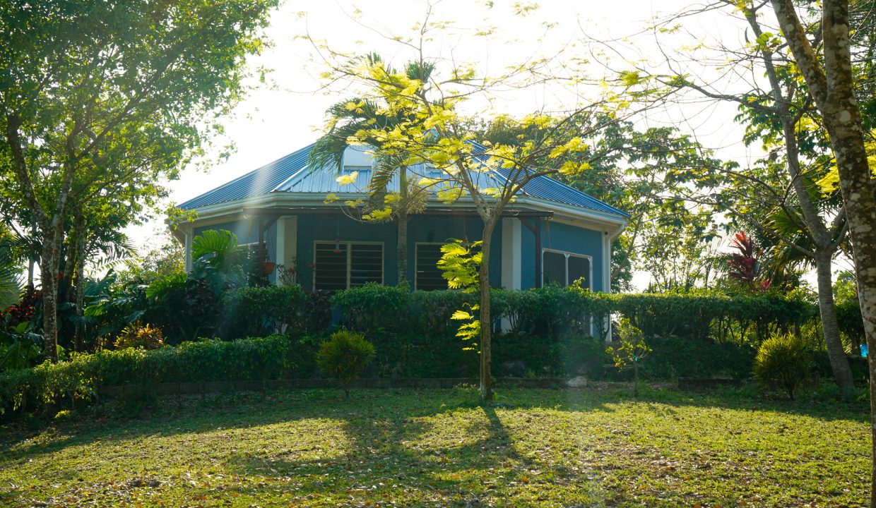 Bullet Tree Property For Sale (14)