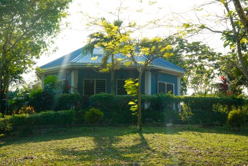 Bullet Tree Property For Sale (14)