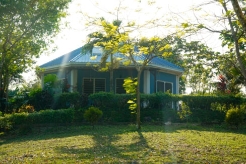 Bullet-Tree-Property-For-Sale-14-scaled