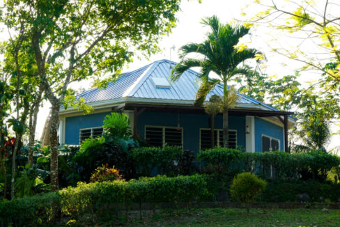 Bullet-Tree-Property-For-Sale-15-scaled