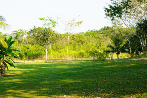 Bullet-Tree-Property-For-Sale-18-scaled