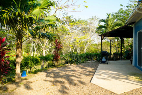 Bullet-Tree-Property-For-Sale-21-scaled