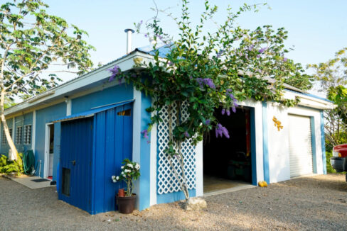 Bullet-Tree-Property-For-Sale-22-scaled