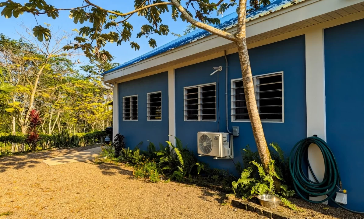 Bullet-Tree-Property-For-Sale-23-scaled