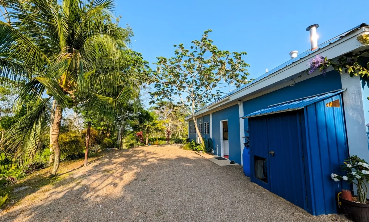 Bullet-Tree-Property-For-Sale-24-scaled