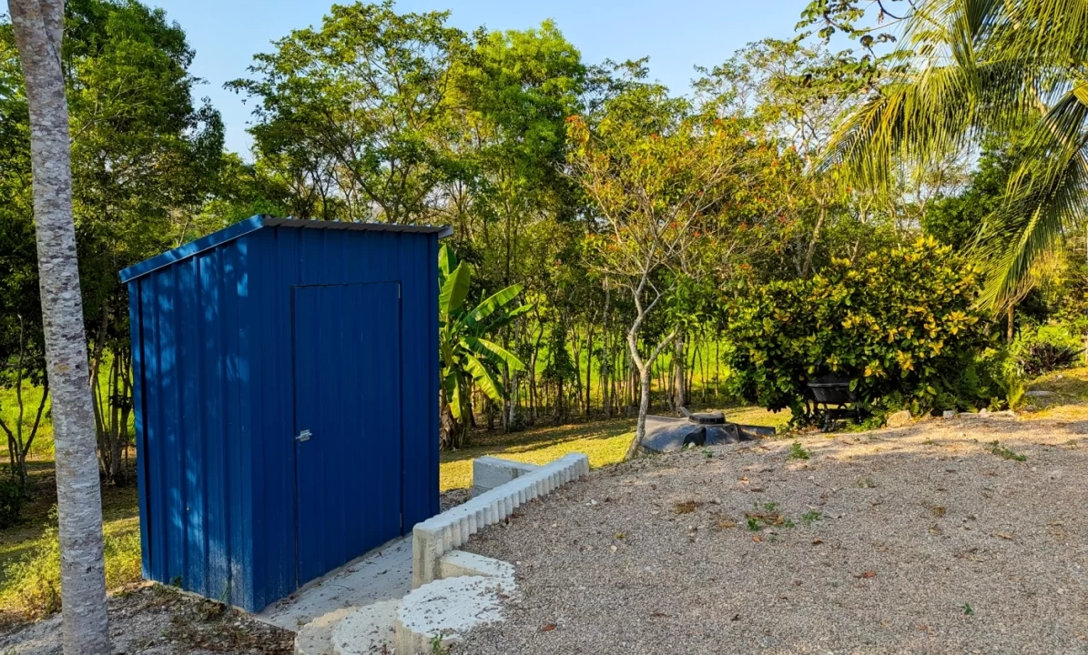 Bullet-Tree-Property-For-Sale-26-scaled
