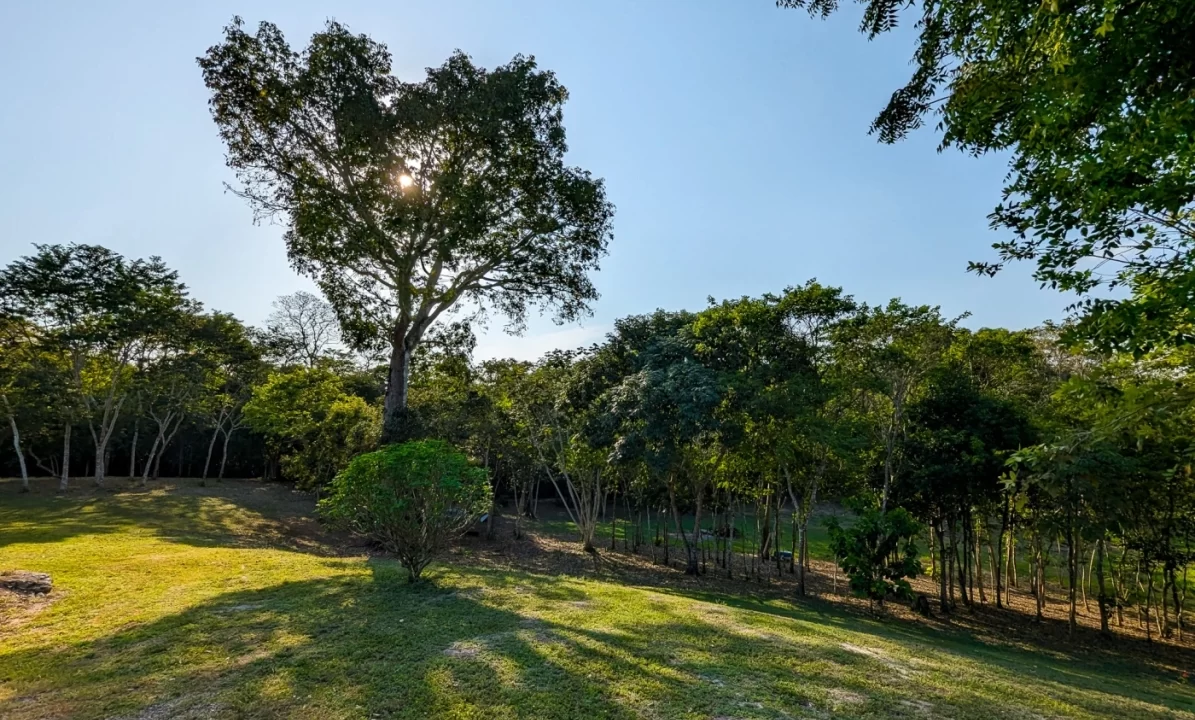 Bullet-Tree-Property-For-Sale-27-scaled