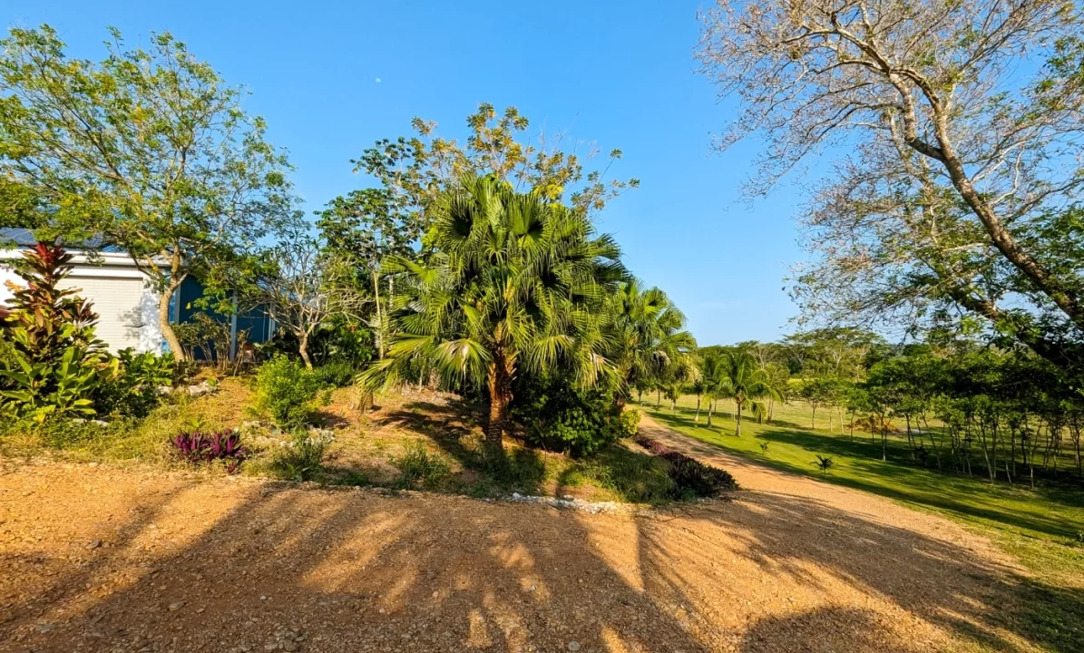 Bullet-Tree-Property-For-Sale-28-scaled