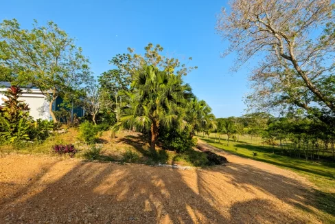 Bullet-Tree-Property-For-Sale-28-scaled