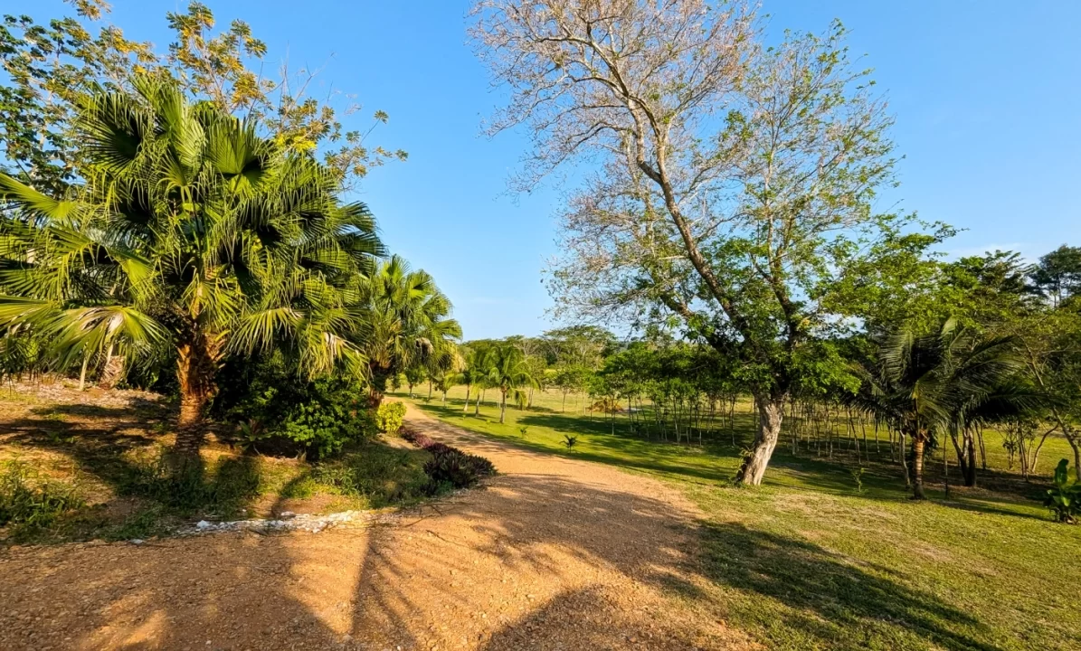 Bullet-Tree-Property-For-Sale-29-scaled