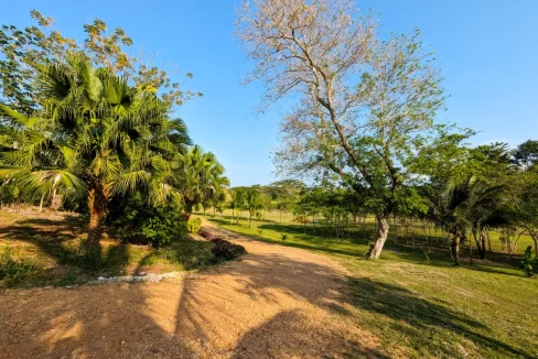 Bullet-Tree-Property-For-Sale-29-scaled