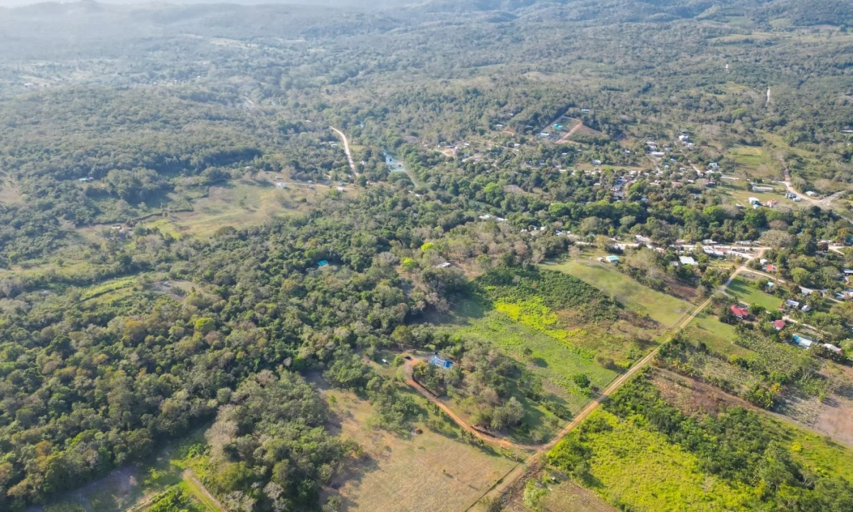 Bullet-Tree-Property-For-Sale-3-scaled