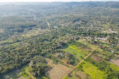 Bullet-Tree-Property-For-Sale-3-scaled