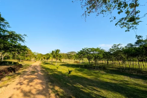 Bullet-Tree-Property-For-Sale-30-scaled