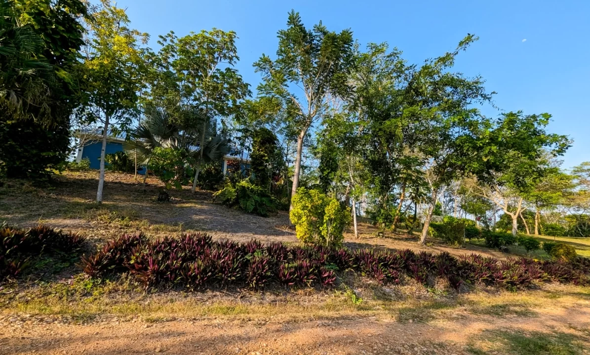 Bullet-Tree-Property-For-Sale-31-scaled