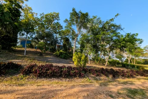 Bullet-Tree-Property-For-Sale-31-scaled