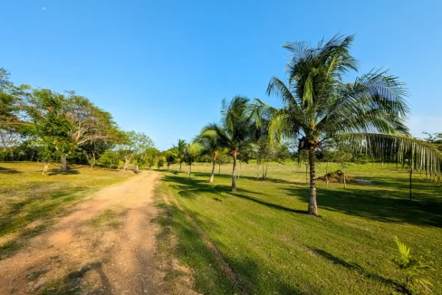 Bullet-Tree-Property-For-Sale-32-scaled