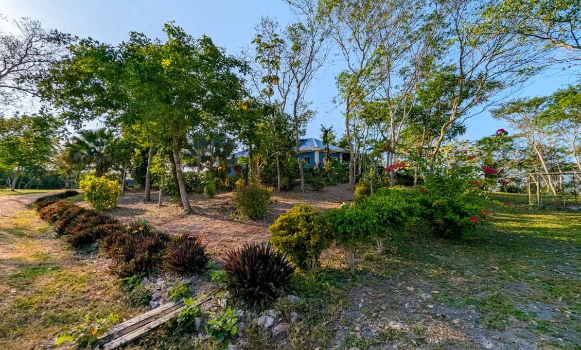 Bullet-Tree-Property-For-Sale-33-scaled
