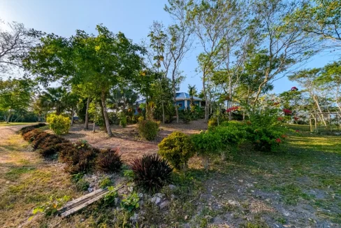 Bullet-Tree-Property-For-Sale-33-scaled