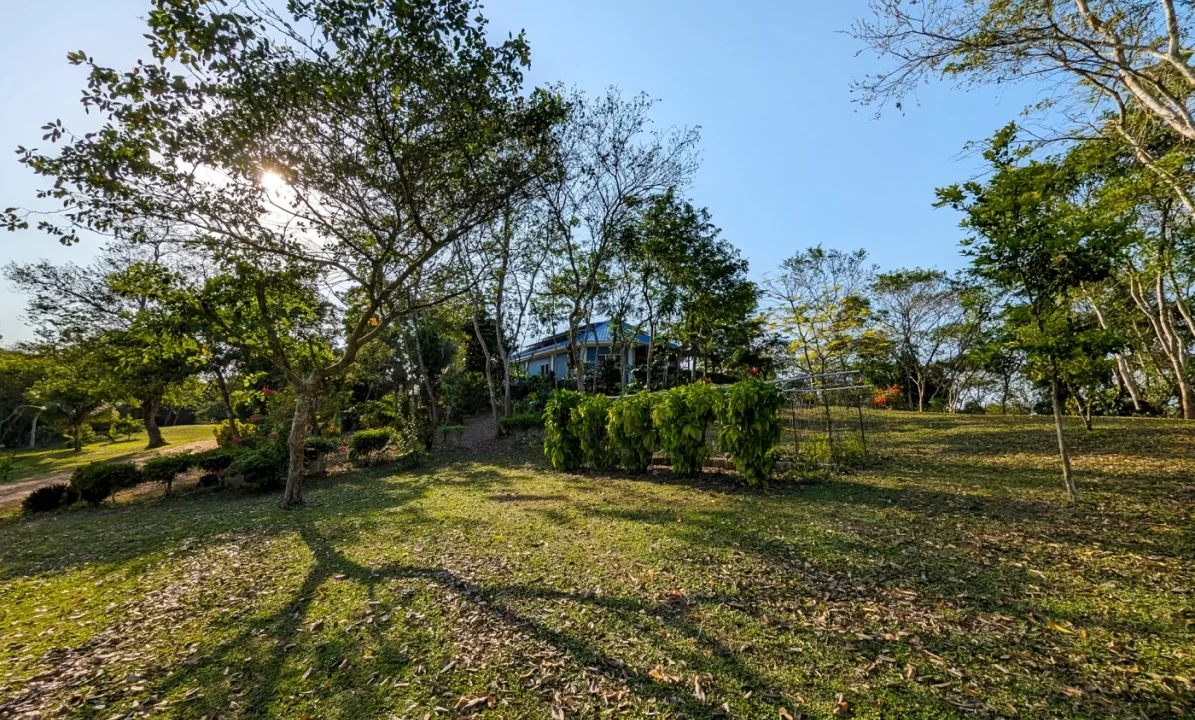 Bullet-Tree-Property-For-Sale-34-scaled