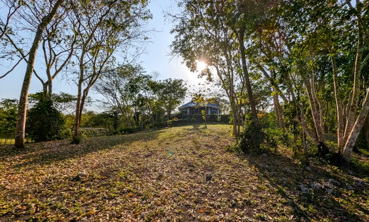 Bullet-Tree-Property-For-Sale-36-scaled