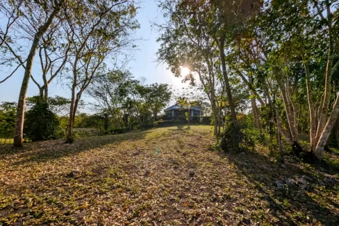 Bullet-Tree-Property-For-Sale-36-scaled