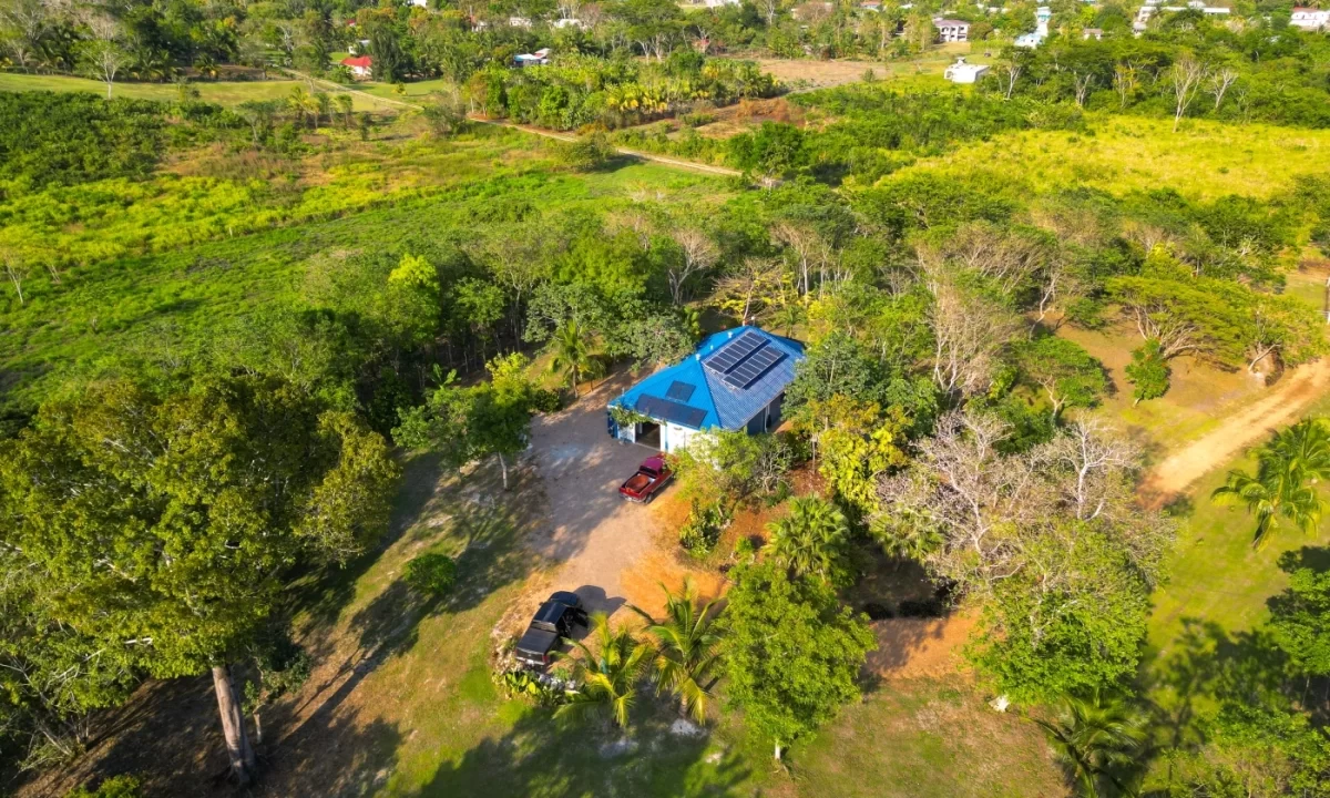Bullet-Tree-Property-For-Sale-4-scaled