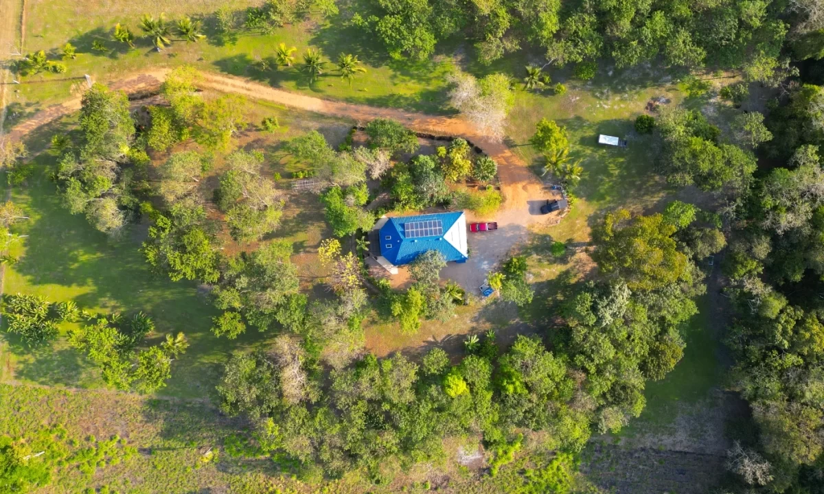 Bullet-Tree-Property-For-Sale-7-scaled