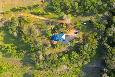 Bullet-Tree-Property-For-Sale-7-scaled
