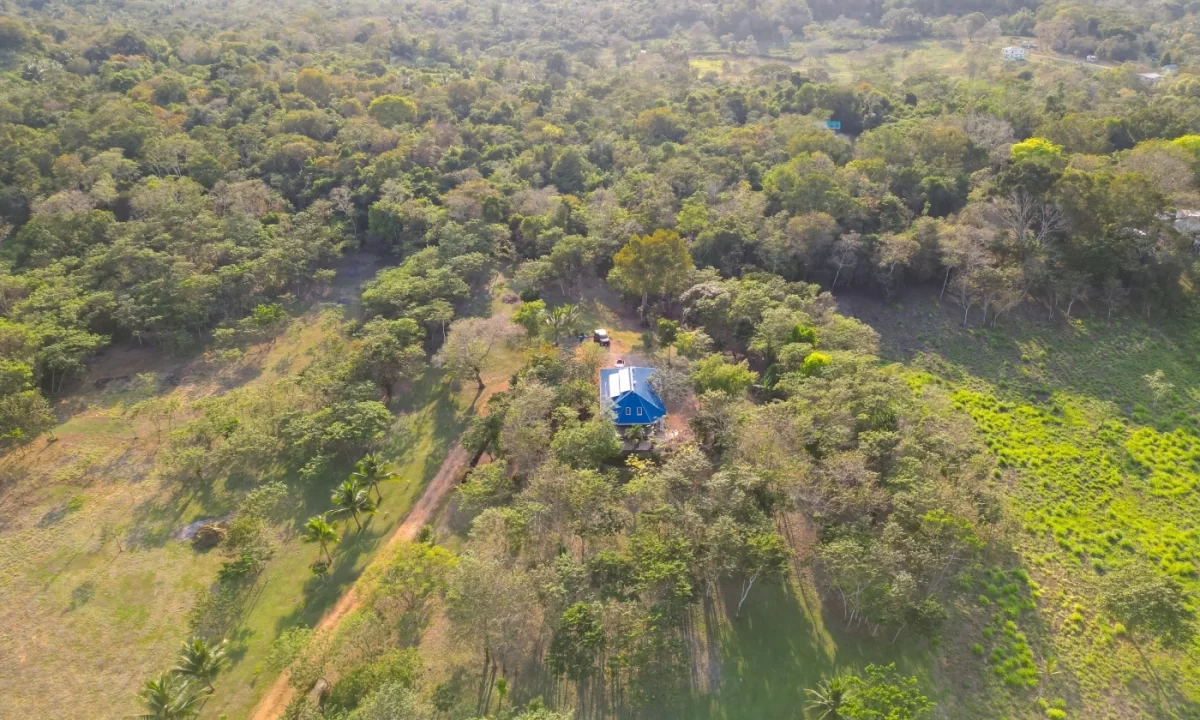 Bullet-Tree-Property-For-Sale-8-scaled