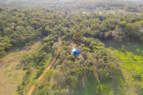 Bullet-Tree-Property-For-Sale-8-scaled