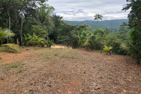 Highway lots for sale in Belize