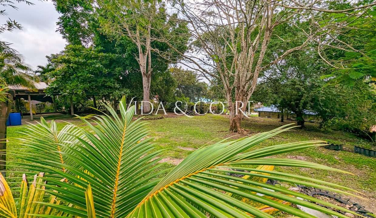 Home For Sale in Cayo (1)