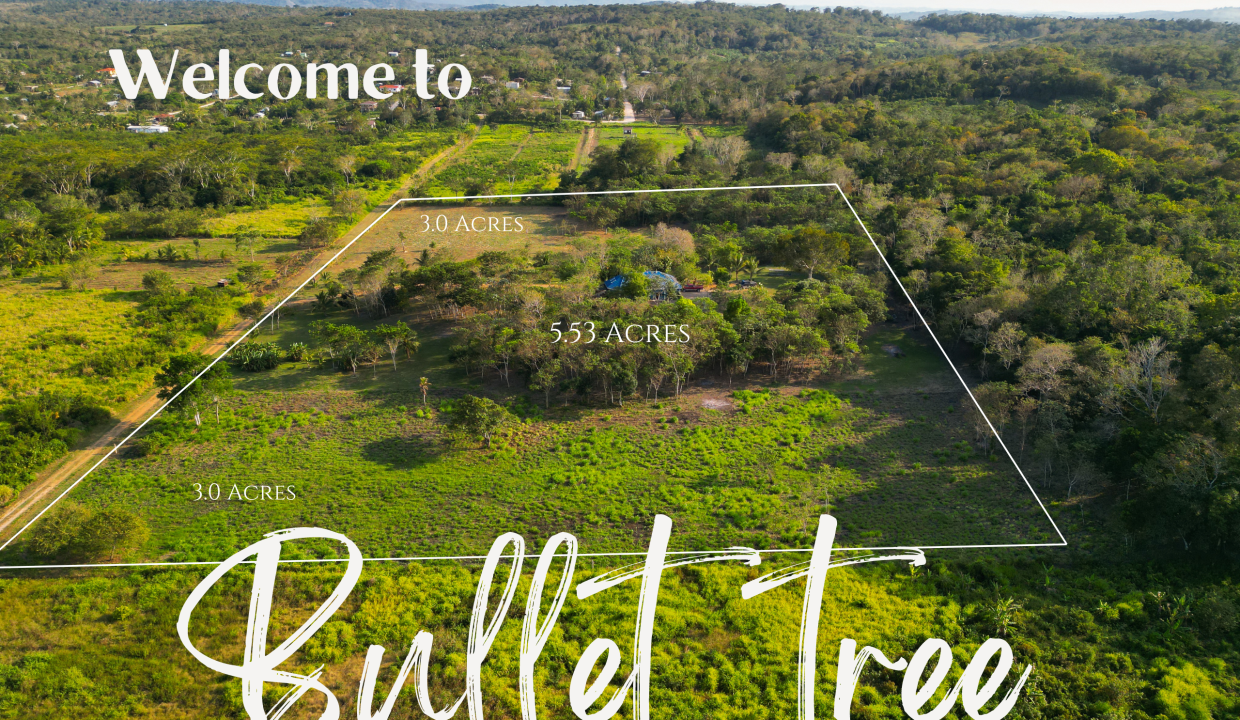 Land For Sale in Bullet tree Village (3)