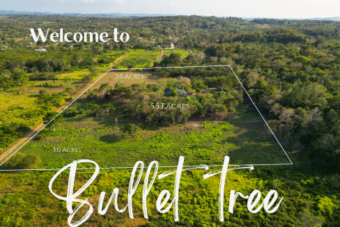 Land For Sale in Bullet tree Village (3)