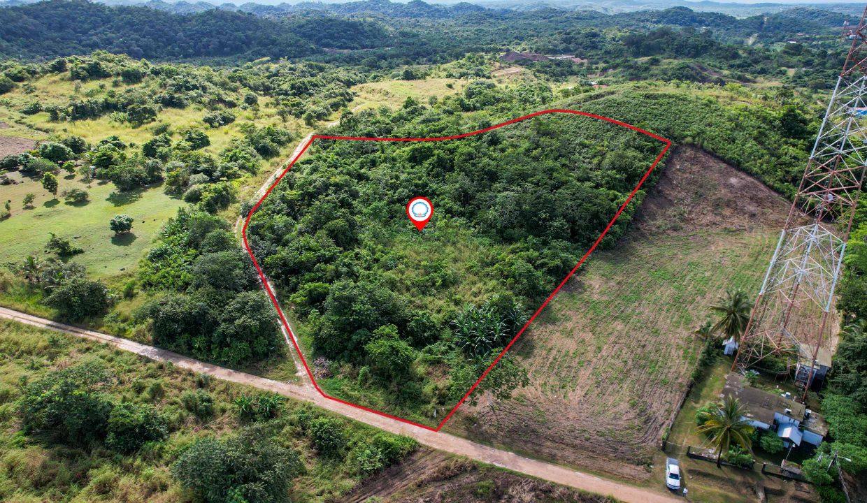 3-acres-lasflores-bmp-1