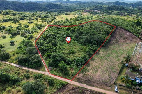 3-acres-lasflores-bmp-1