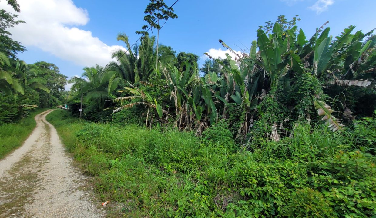 Belize-Cheap-Real-Estate