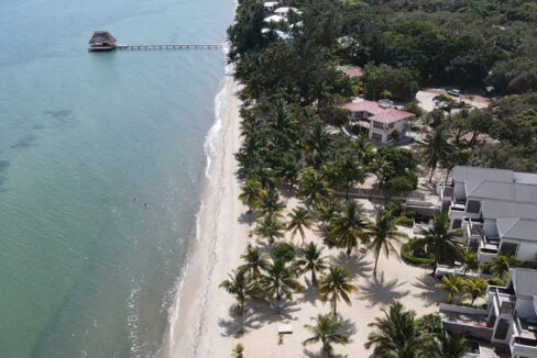 drone-pic-1