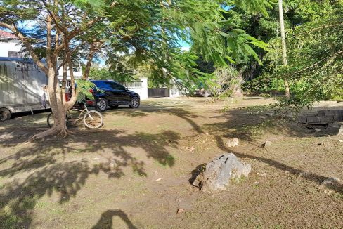 frontyard-buffer-looking-east