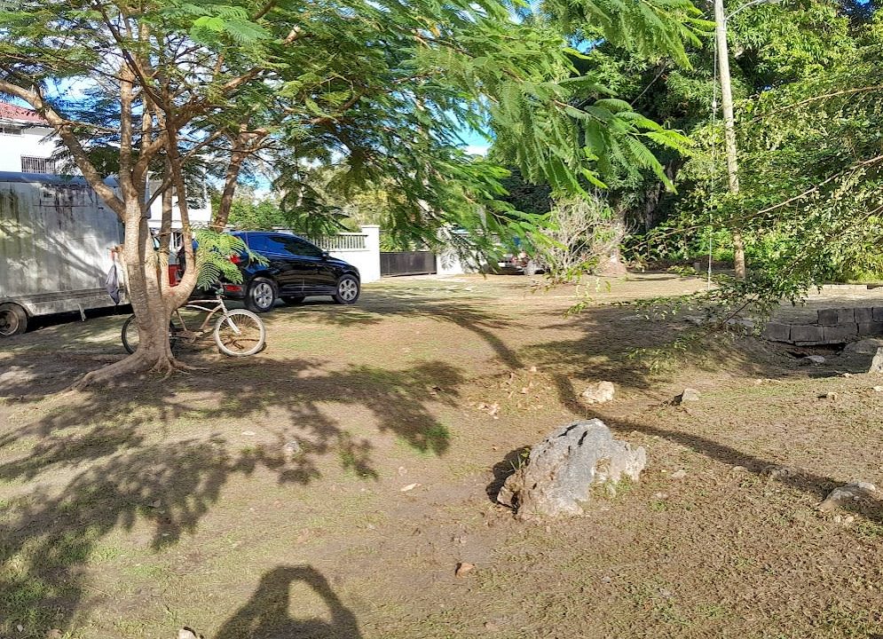 frontyard-buffer-looking-east