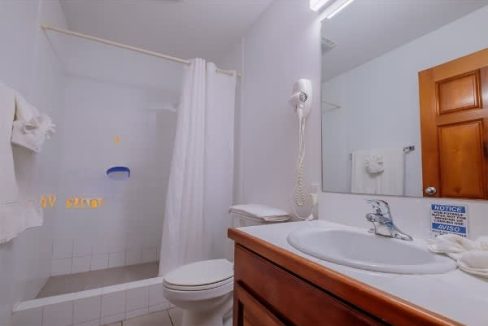 guest-bathroom