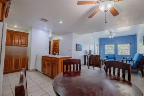 living-room-kitchen