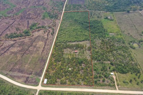 outline-0f-24-acres-coconut-farm-web