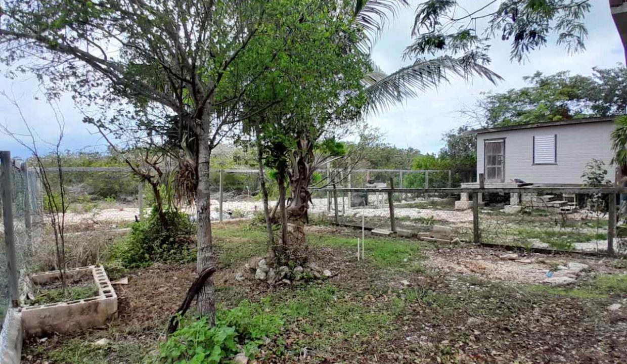 showing-the-front-yard-and-stand-alone-studio