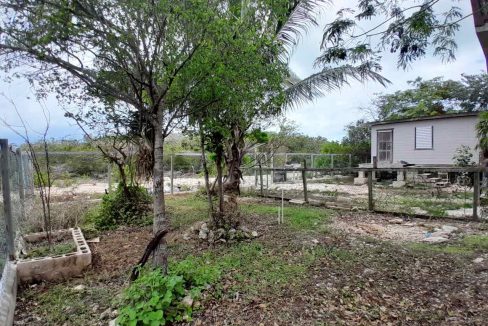 showing-the-front-yard-and-stand-alone-studio