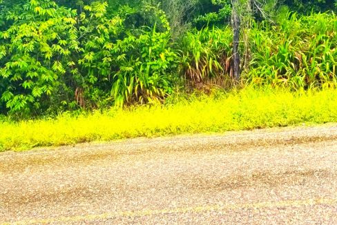 view-of-property-from-the-southern-highway