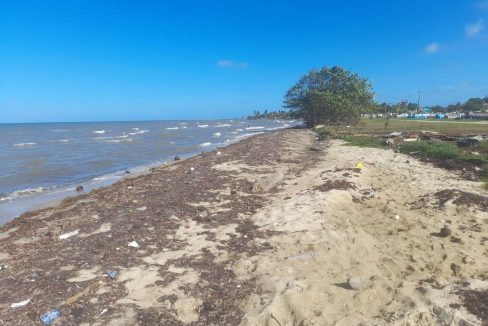 view-of-the-beach